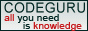 codeguru.com.ua