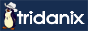 tridanix.com